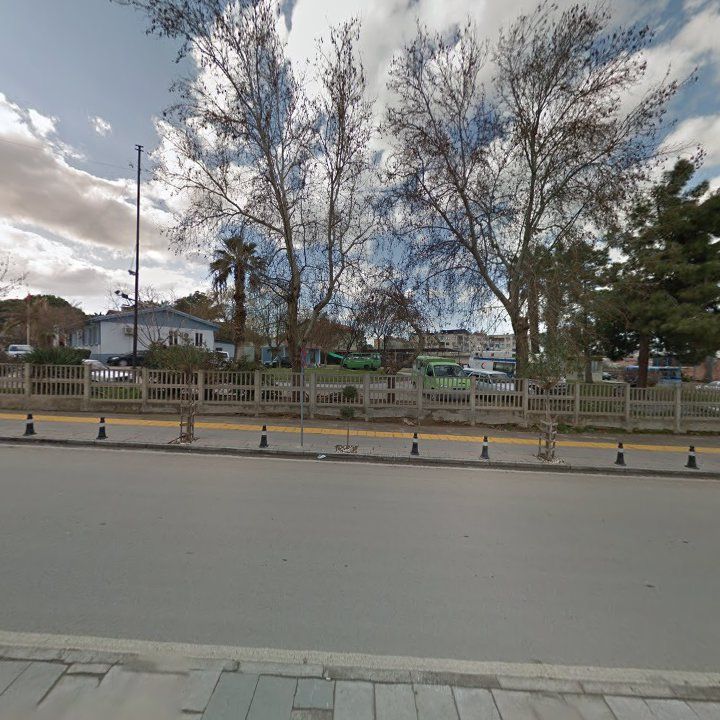 Fotoğraf 8