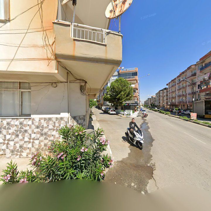 Fotoğraf 4
