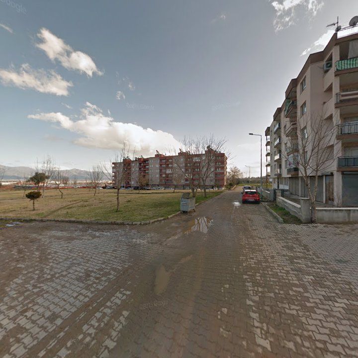 Fotoğraf 7