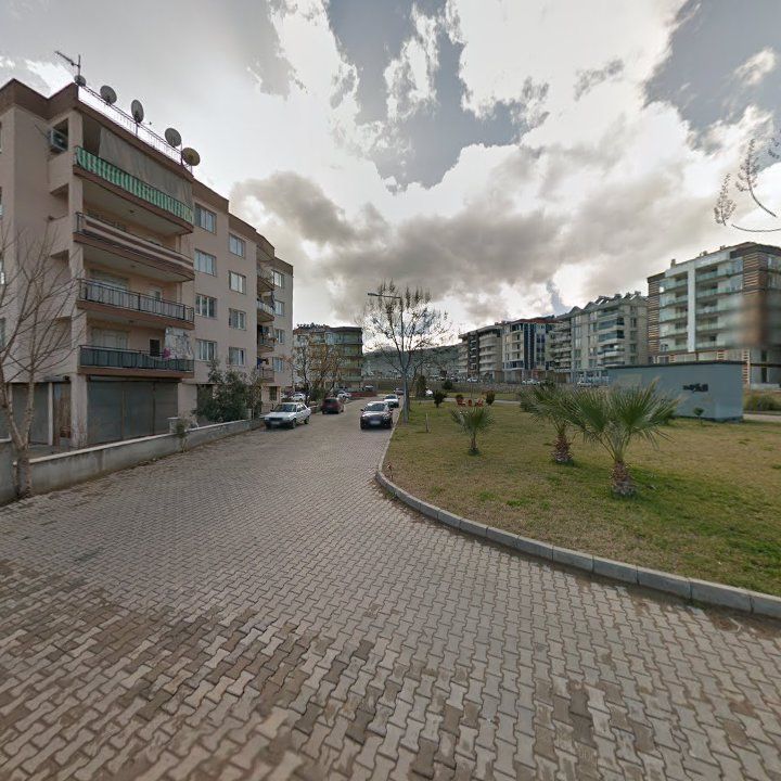 Fotoğraf 8