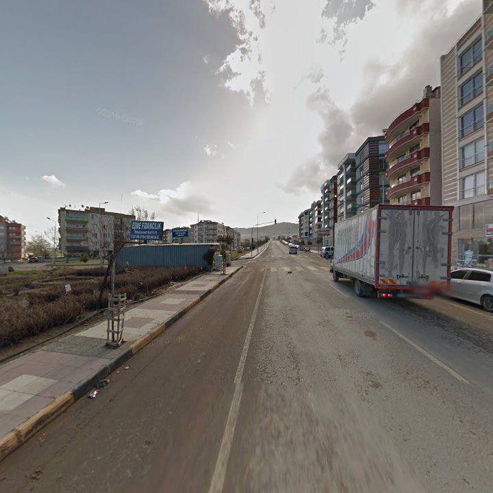 Fotoğraf 8