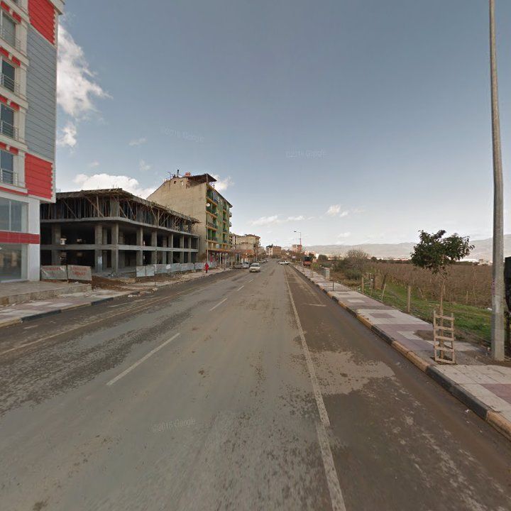 Fotoğraf 10