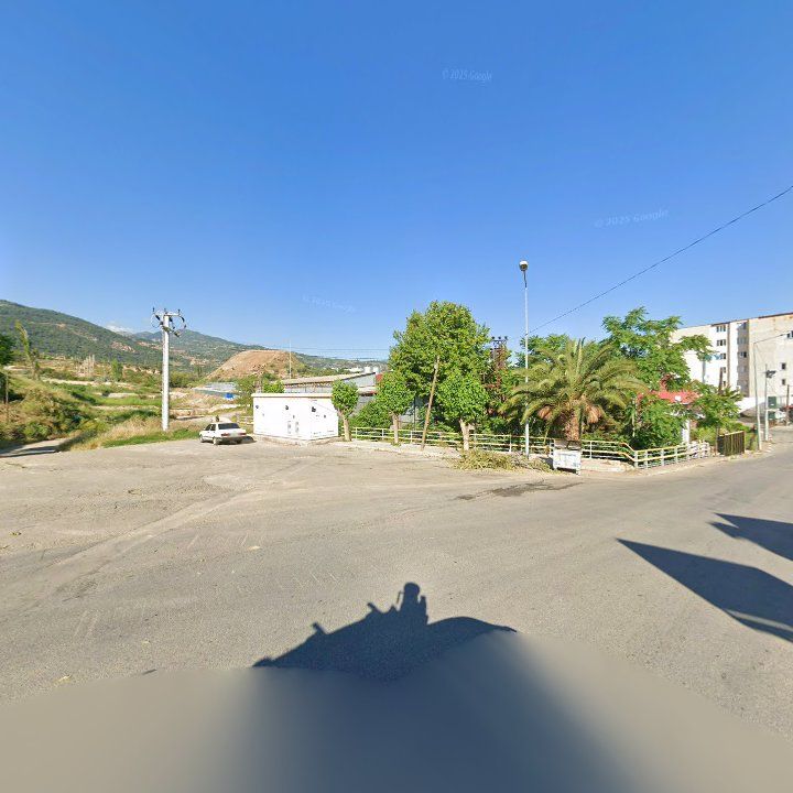 Fotoğraf 7
