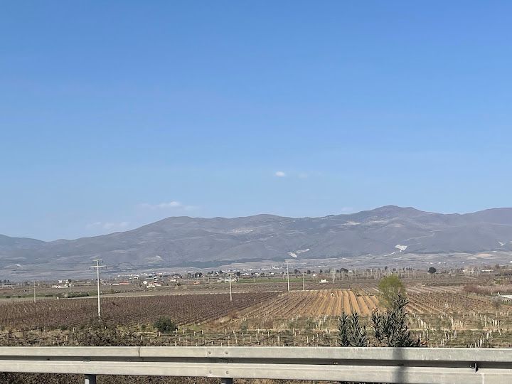 Sarıgöl Restoran