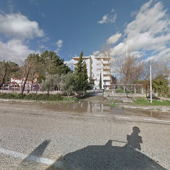 Fotoğraf 9