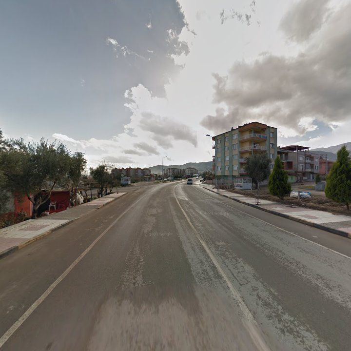 Fotoğraf 11