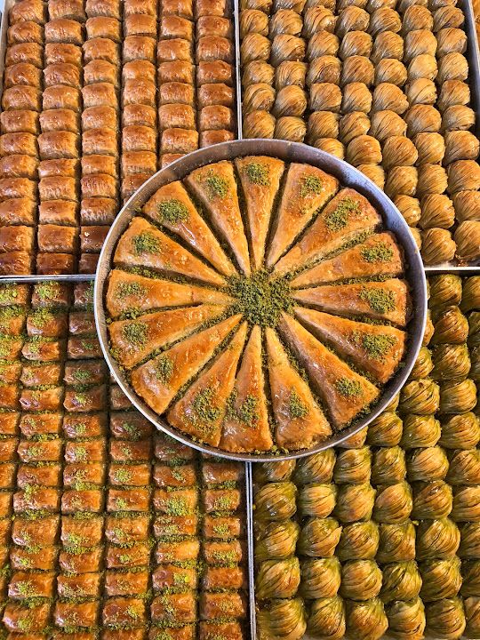 Fotoğraf 14