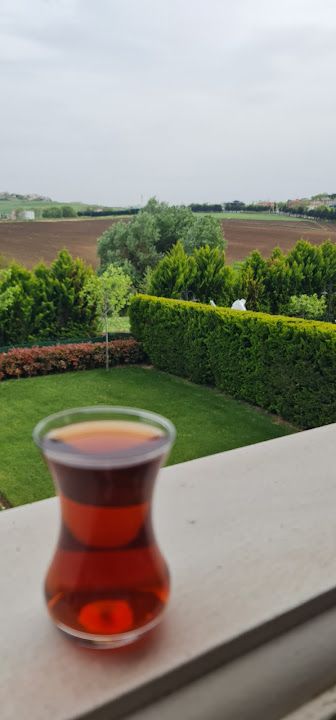 Fotoğraf 9