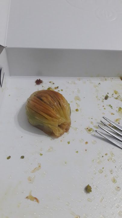 Fotoğraf 12