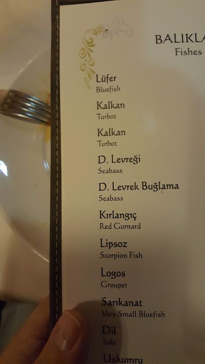 Fotoğraf 26