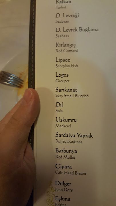 Fotoğraf 33