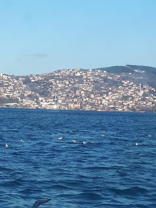 Yorum fotoğrafı 3