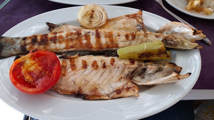 Fotoğraf 48