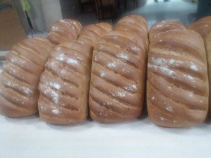 Fotoğraf 12