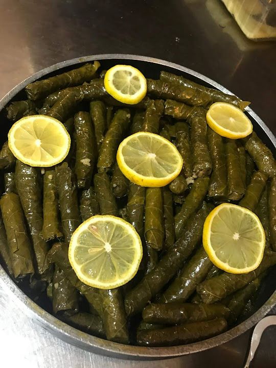 Fotoğraf 16
