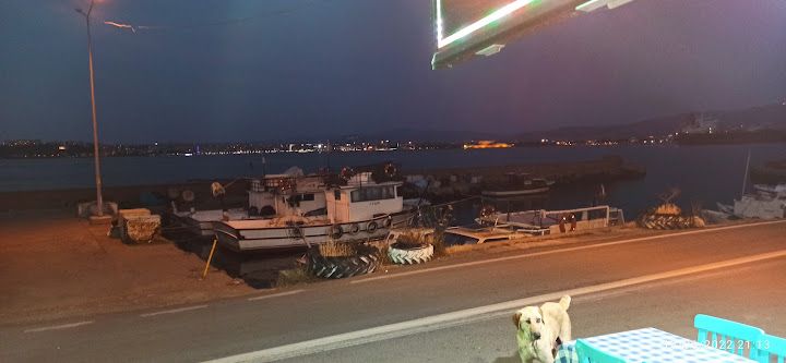 Yorum fotoğrafı 2