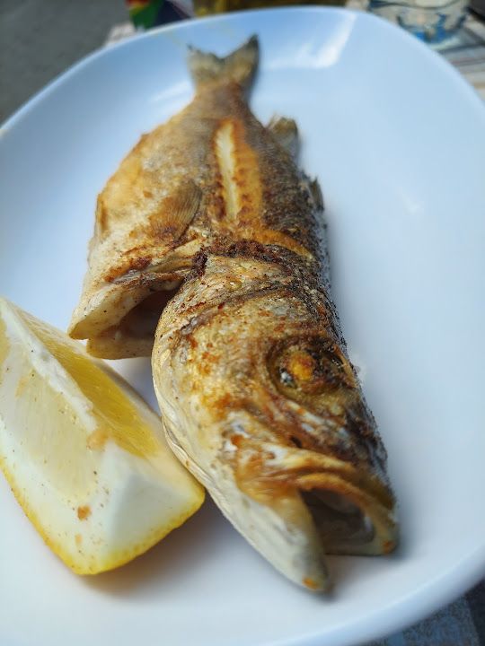 Fotoğraf 25
