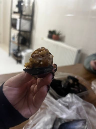 Yorum fotoğrafı 6