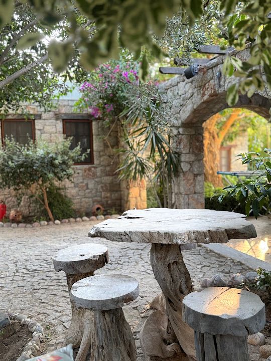 Fotoğraf 46
