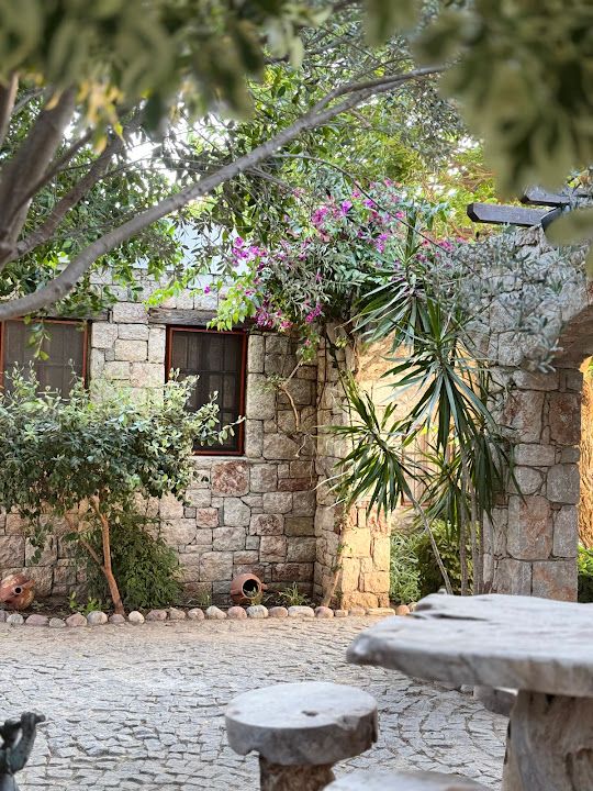 Fotoğraf 45