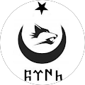 Ali Akin