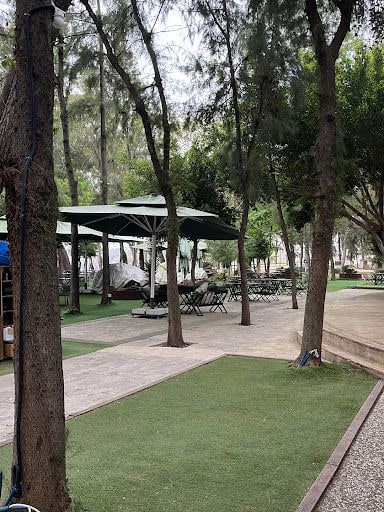Fotoğraf 14