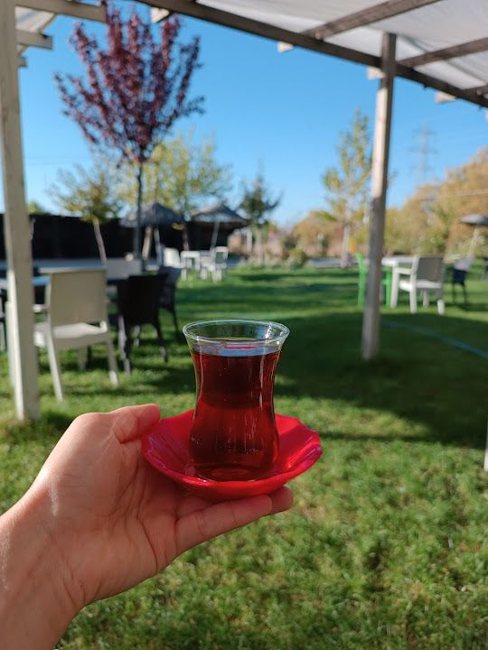 Fotoğraf 13
