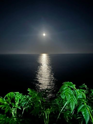 Fotoğraf 16
