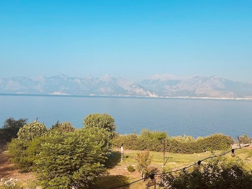 Fotoğraf 16
