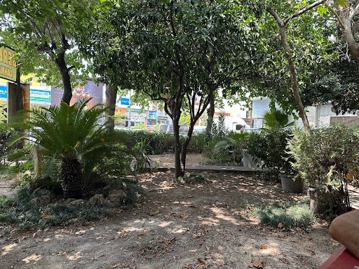 Fotoğraf 15