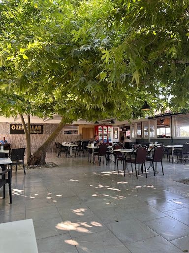Yorum fotoğrafı 6