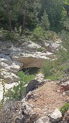 Yorum fotoğrafı 3