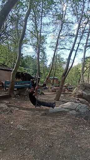 Yorum fotoğrafı 6