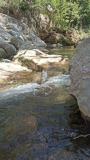 Yorum fotoğrafı 9