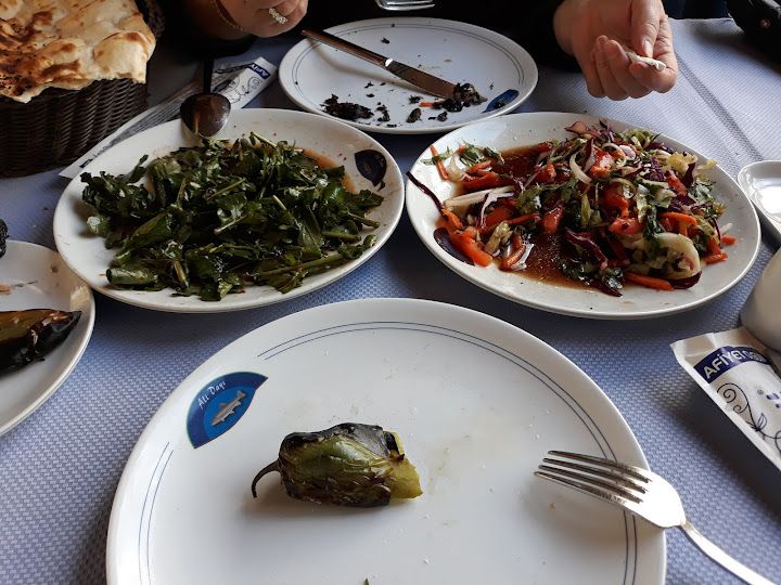 Fotoğraf 24