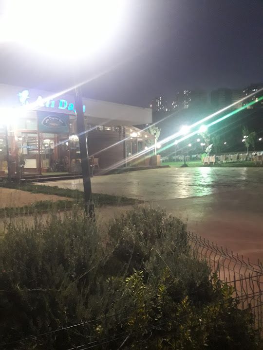 Fotoğraf 29