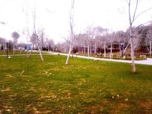Yorum fotoğrafı 4