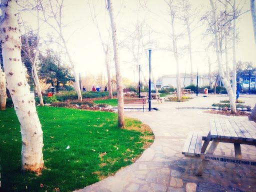Yorum fotoğrafı 5