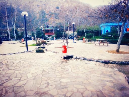 Yorum fotoğrafı 6