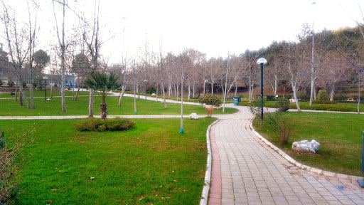 Yorum fotoğrafı 9