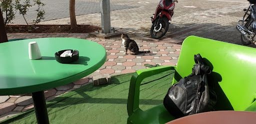 Yorum fotoğrafı 2