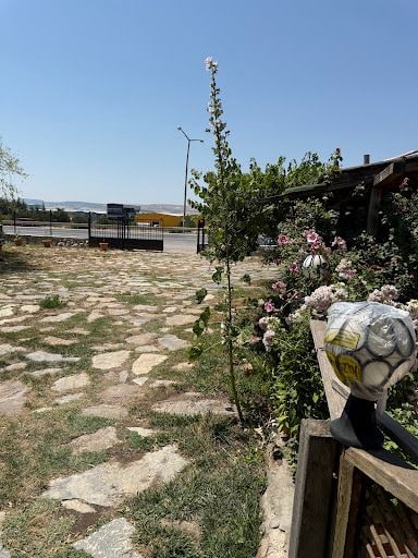 Yorum fotoğrafı 3