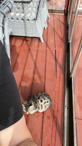 Yorum fotoğrafı 4