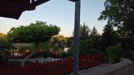 Yorum fotoğrafı 10