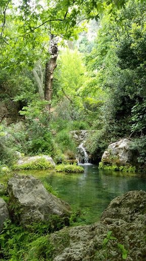 Yorum fotoğrafı 4