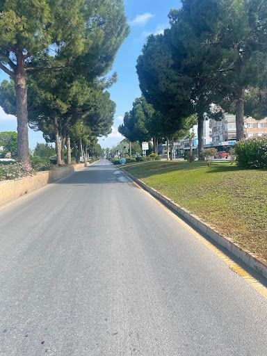 Fotoğraf 16