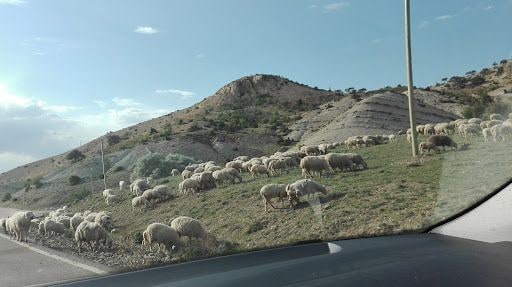 Yorum fotoğrafı 8