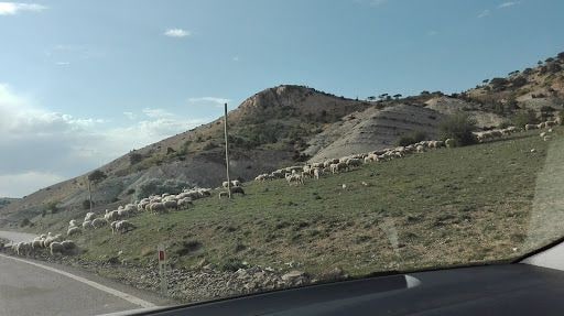 Yorum fotoğrafı 9