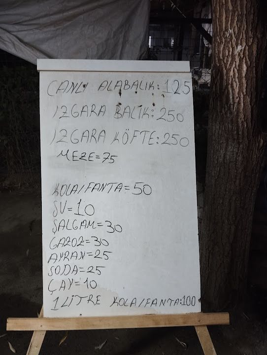Fotoğraf 33