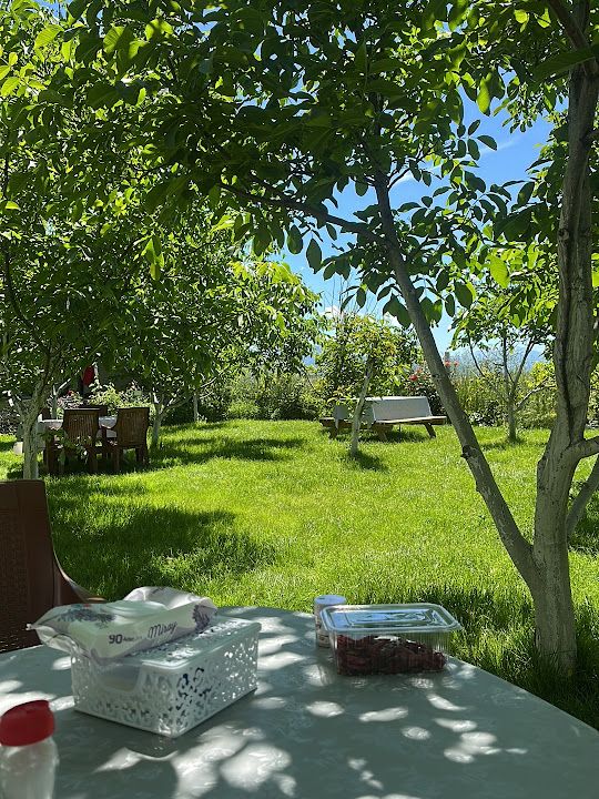 Fotoğraf 32